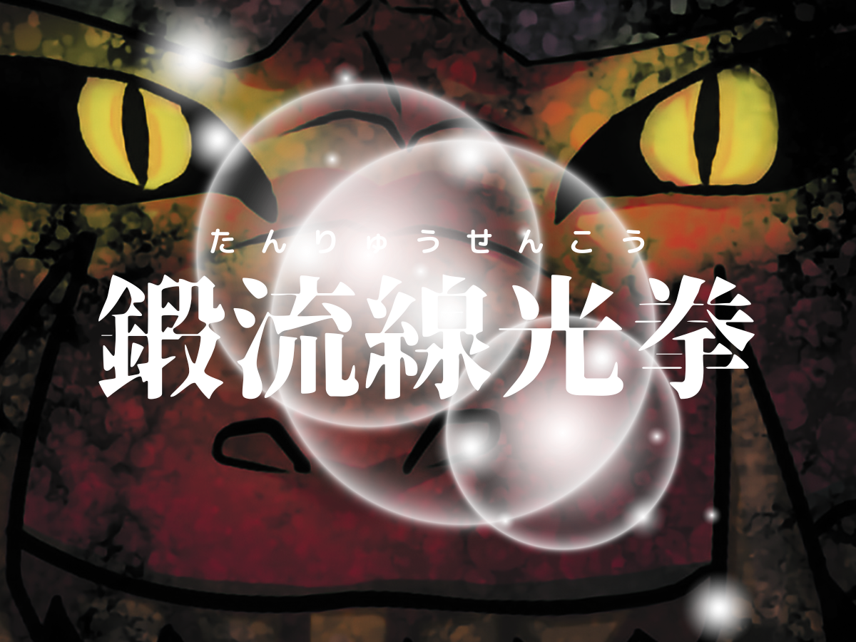鍛流線光拳 | 6000